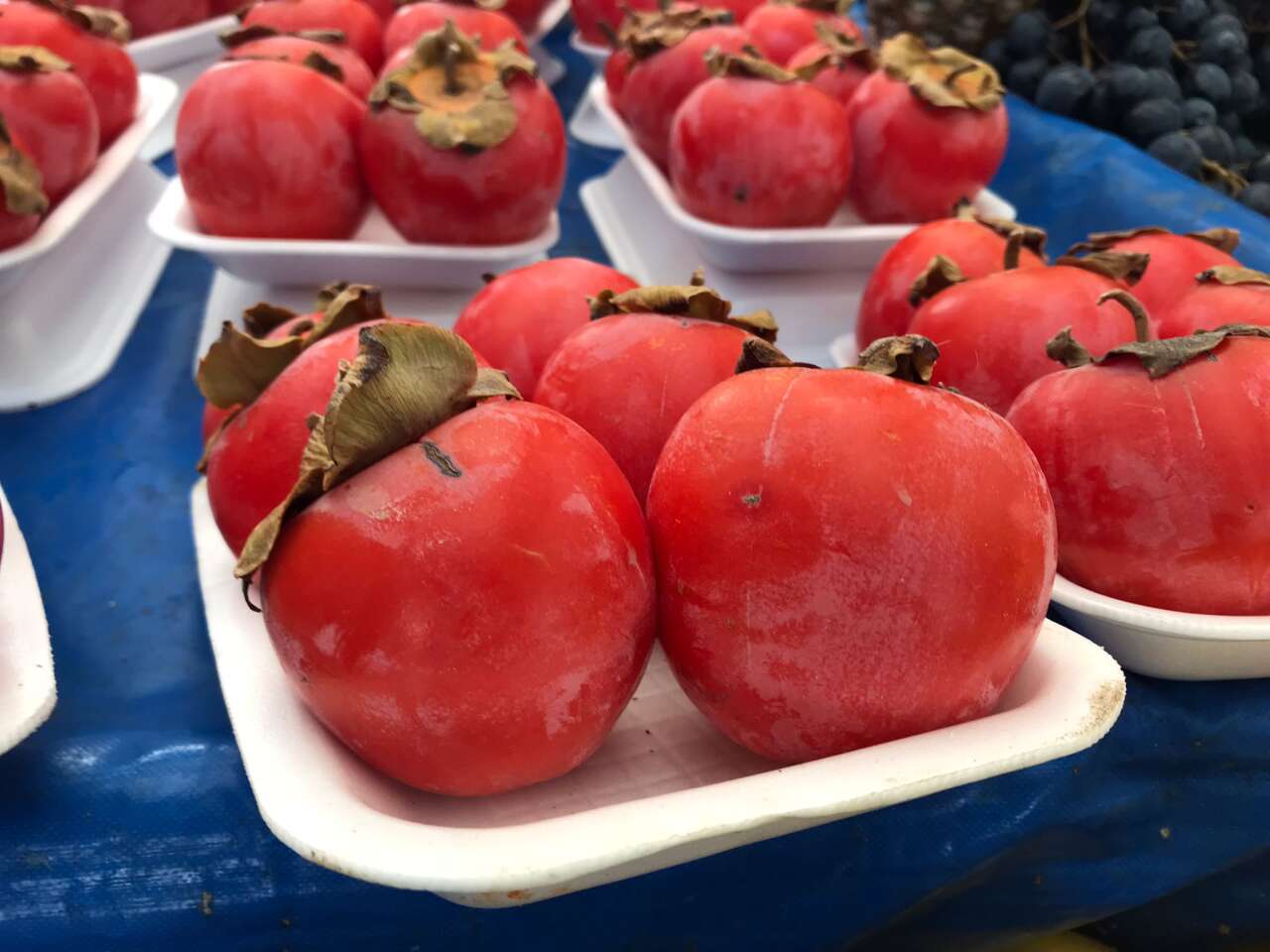 Trabzon’dan 150, Denizli’den 100 Lira: Cennet Hurması Menteşe Pazarını Renklendirdi 2